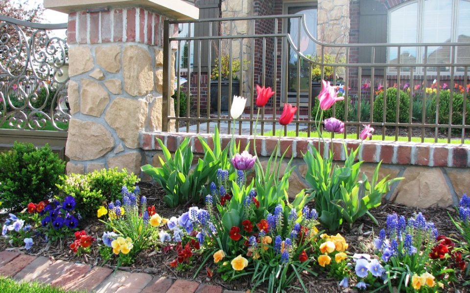 Landscape beds in spring bloom.