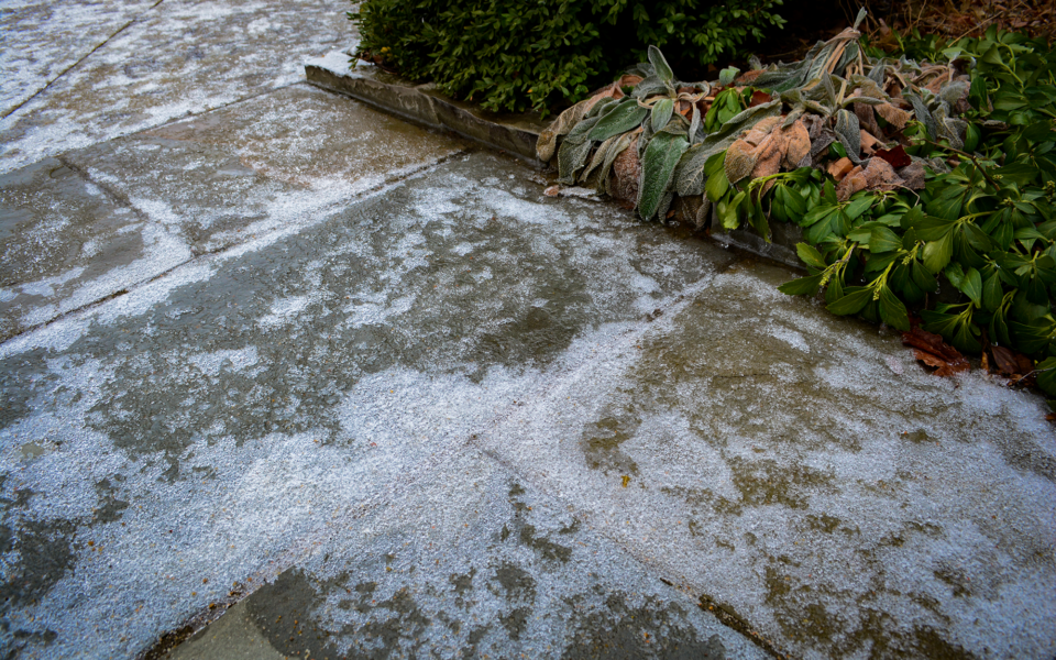 Does Ice Melt Damage Landscapes?